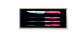 Giesser PremiumCut Steak No. 1 Red Diamond 4er Set
