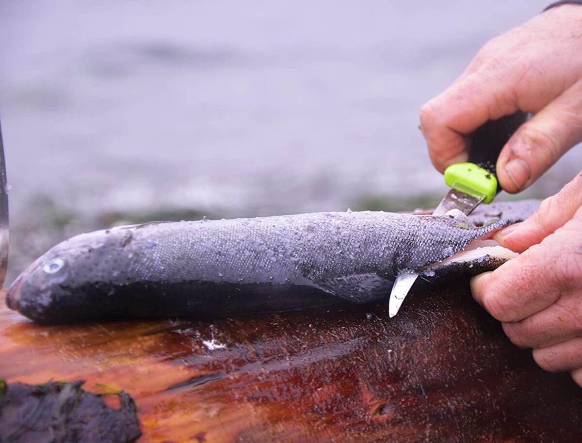 Mora Scaler 150 – Bild 2