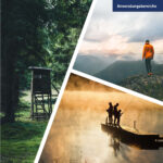 Herbertz Gürtelmesser Cocobolo – Bild 5